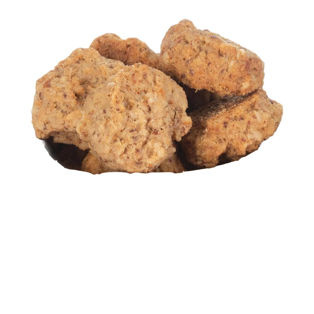 Caitec Oven Fresh Bites Parrot Cookies,"Stack of chunky round bird cookies"
