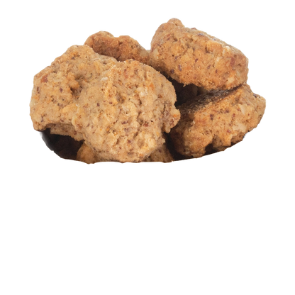 Caitec Oven Fresh Bites Parrot Cookies,"Stack of chunky round bird cookies"