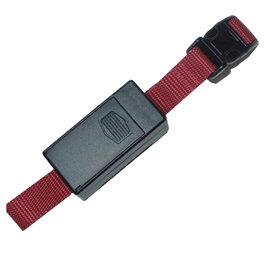 Super Hush Puppy Progressive Sonic Collar,"Black rectangular collar unit on red strap"