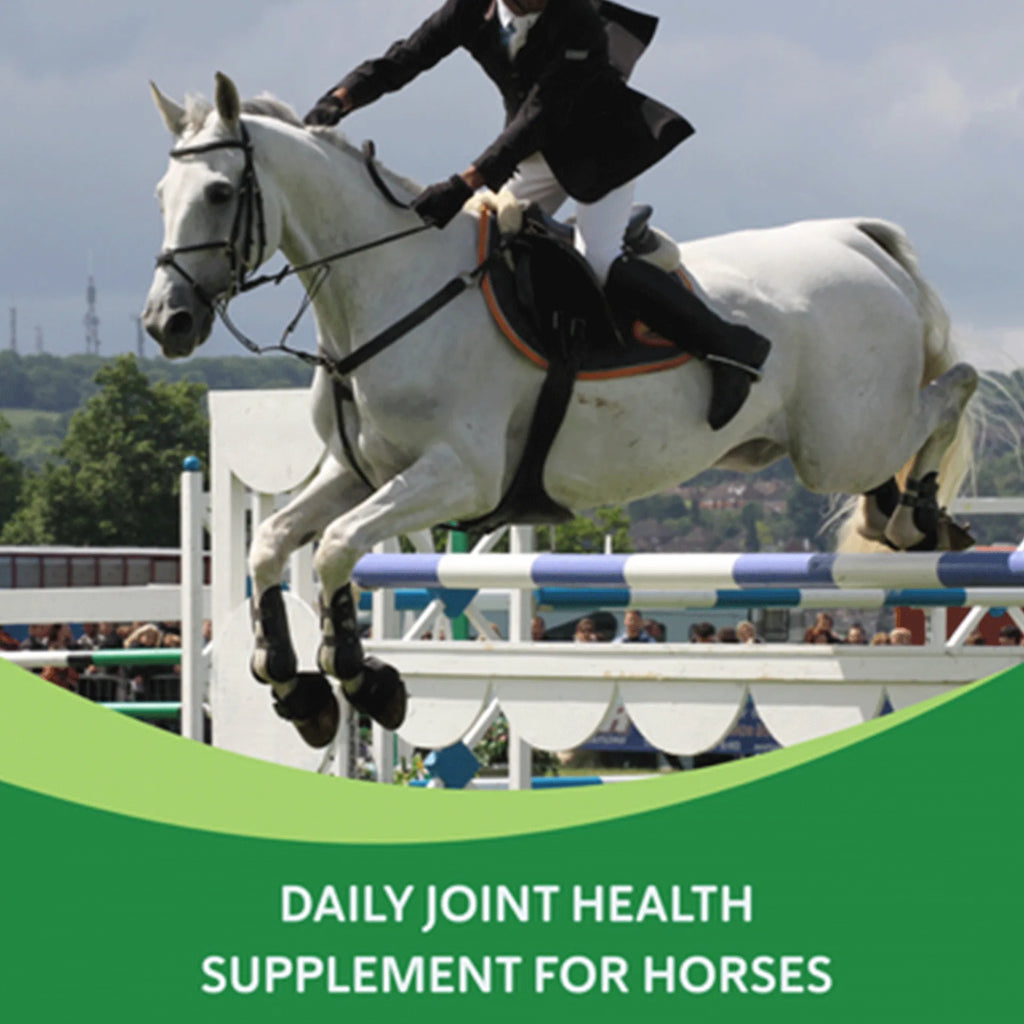 Comfort Quik™,"White horse and rider jumping over an obstacle"