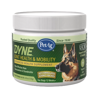 PetAg Dyne Soft Chews Joint Health & Mobility,"Plastic supplement jar with screw-top lid and dog illustration"