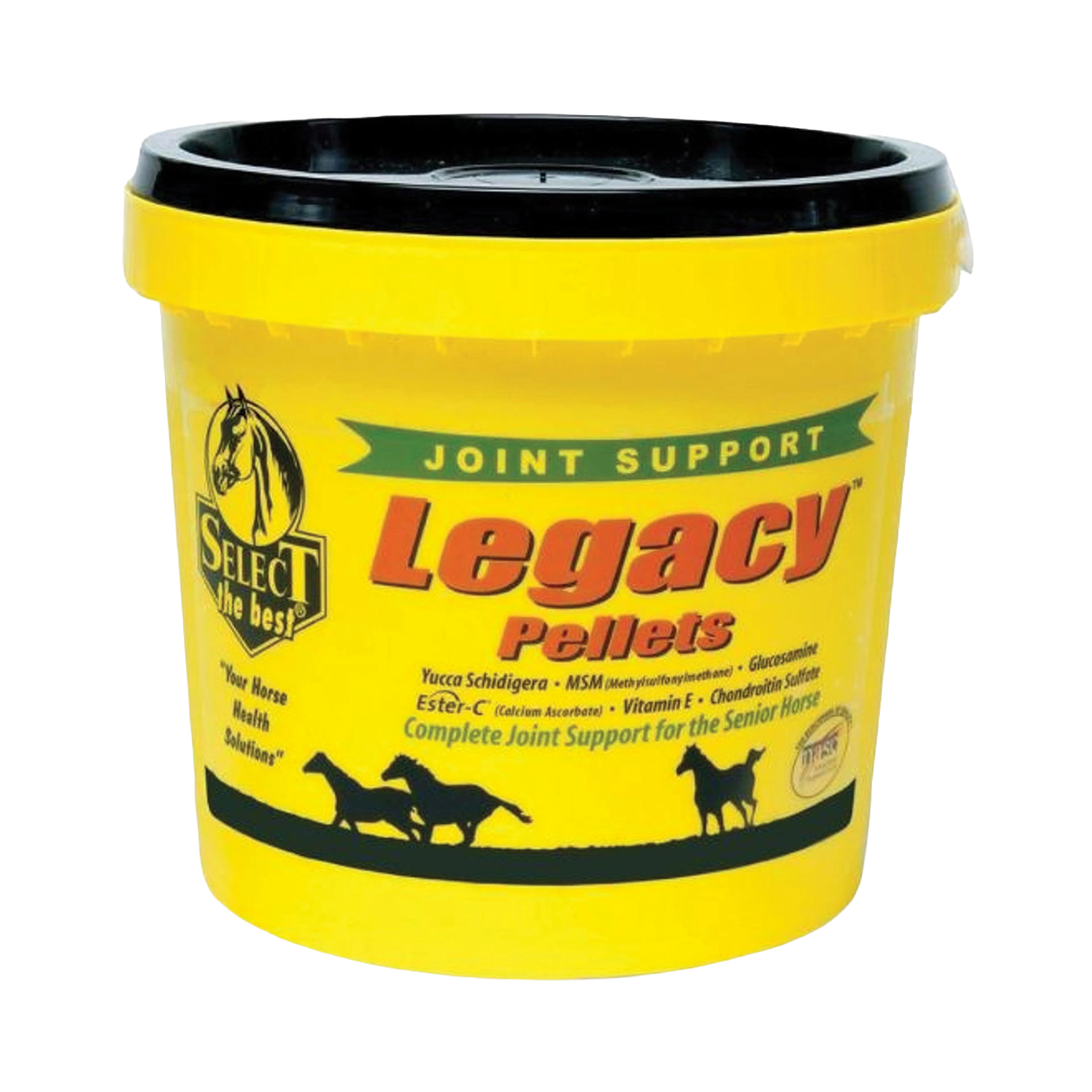 Legacy Joint Support for Senior Horses,"Yellow plastic tub with black lid"