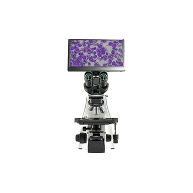 BioVID 1080 Camera and Monitor,"Microscope with mounted monitor displaying purple cells"
