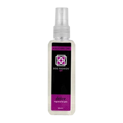 Dolce Fragrance