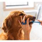 BrushMate Premium Toothbrush with Biteblock,"Blue finger bite block with toothbrush for dog toothbrushing"