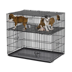 Midwest® Puppy Playpen,"Black wire playpen with raised platform and two dogs"