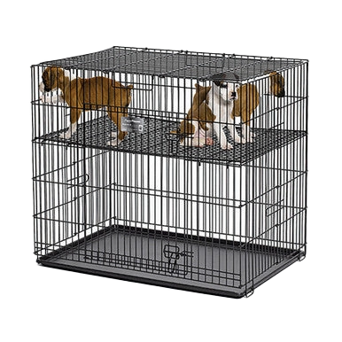 Midwest® Puppy Playpen,"Black wire playpen with raised platform and two dogs"