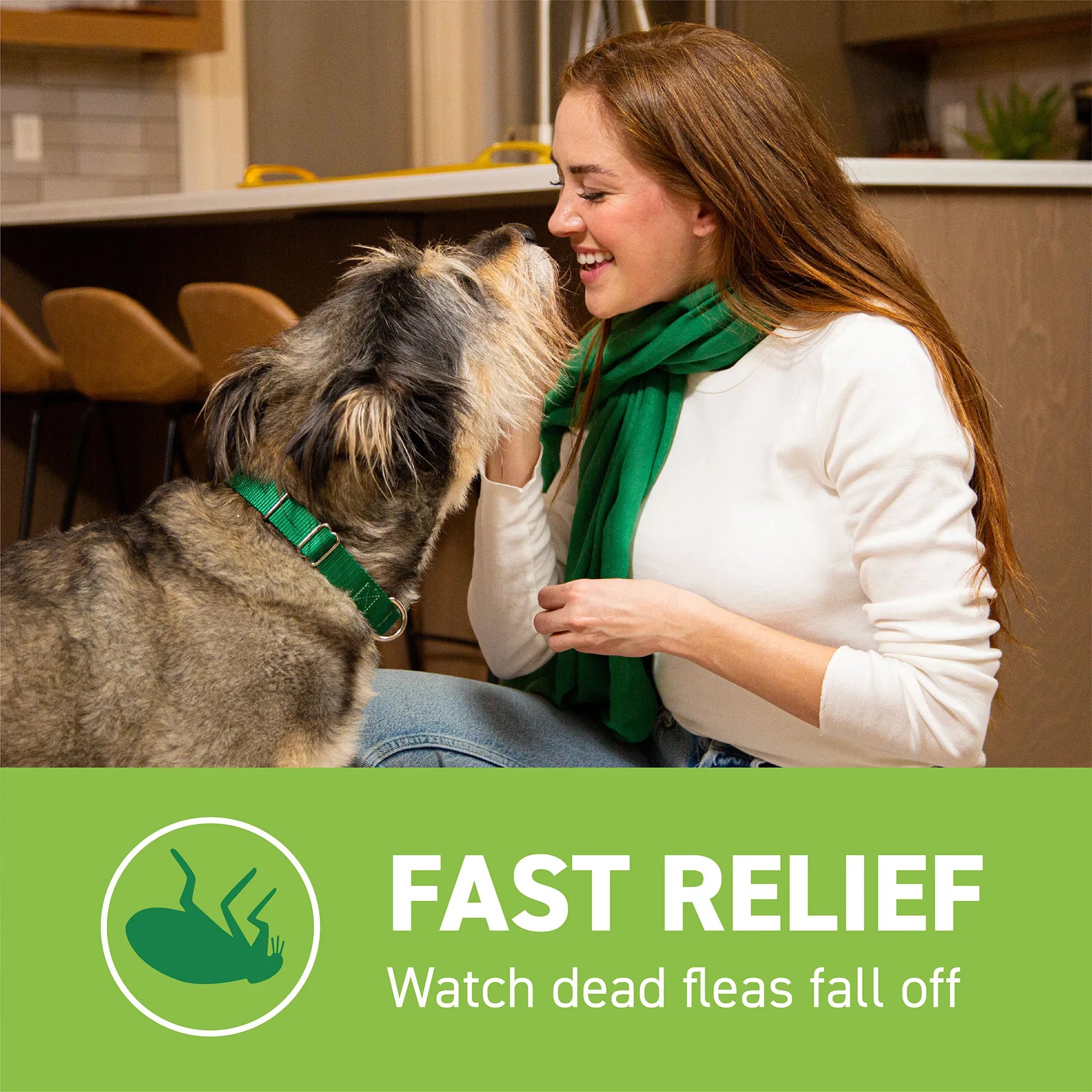 Capstar™,"Woman smiling at shaggy dog indoors"