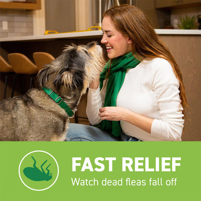 Capstar™,"Woman smiling at shaggy dog indoors"