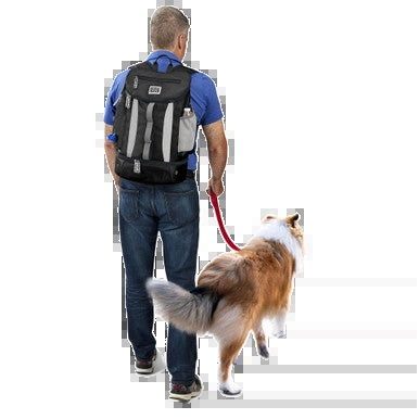 Drop Bottom Week Away Backpack,"Back view of person wearing backpack while walking a dog"