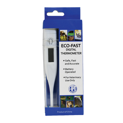 Digital Thermometer,"White digital thermometer in blue retail packaging"