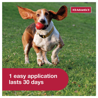 K9 Advantix™ II,"Dog running with ball in mouth"