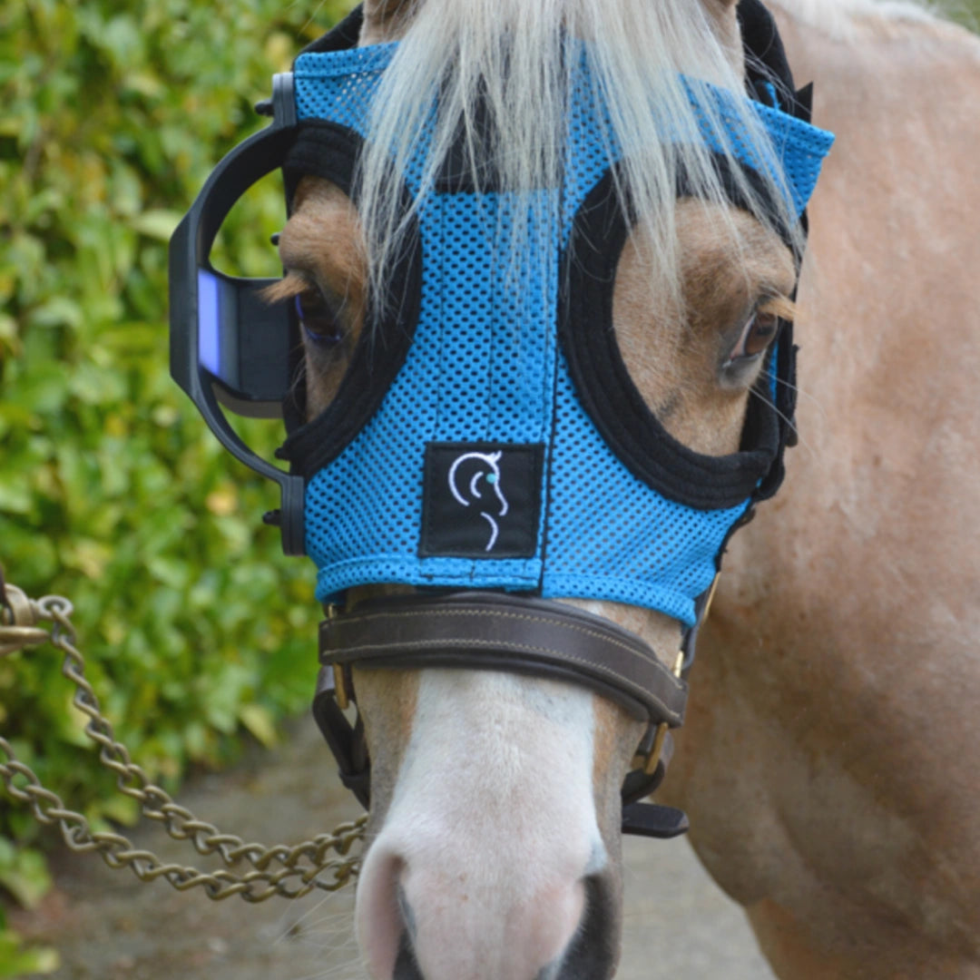Equilume Light Mask,"Horse wearing blue mesh light mask with side eye cups"