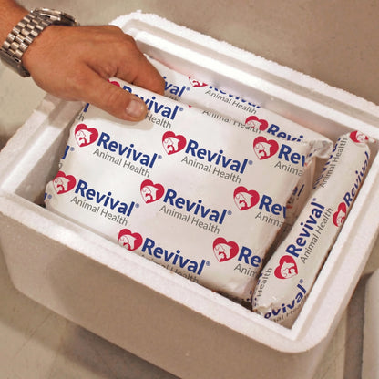 Revival Animal Health Extra Ice,"Hand placing ice packs into foam cooler"