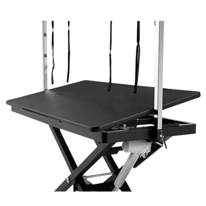 "50"" Dog Grooming 908 Electric Table without Drawer by Waggz","Black grooming table with arm posts and no drawer"