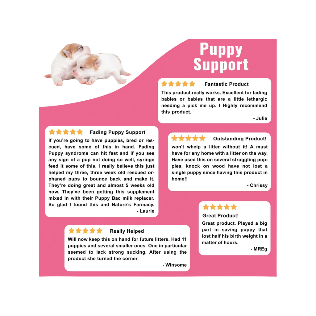 Puppy Support for Fading Puppies,"Two puppies above a pink customer review graphic"