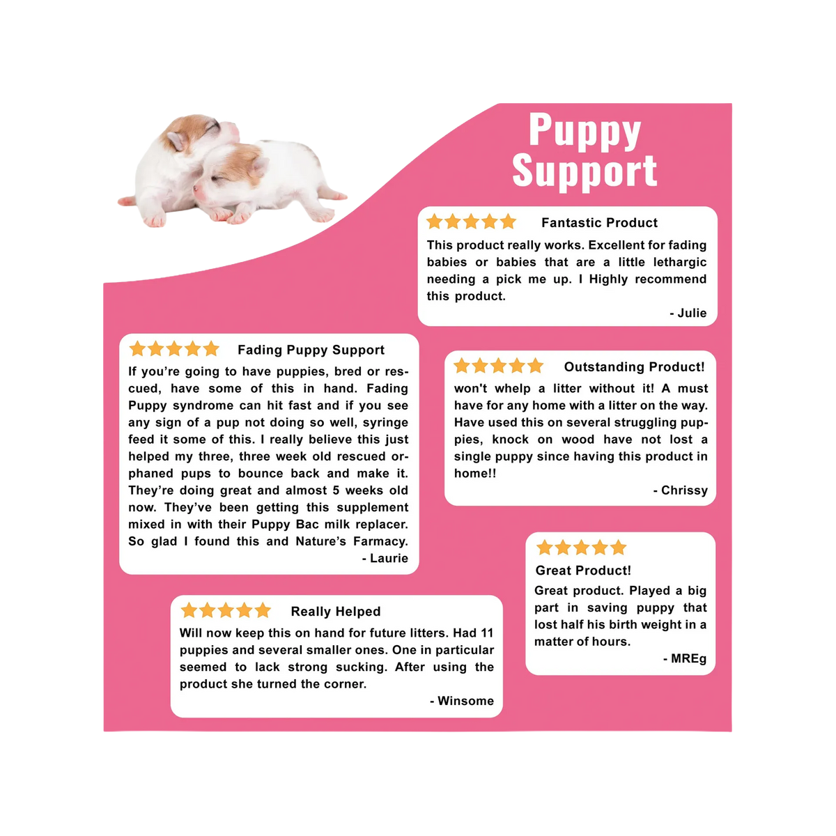 Puppy Support for Fading Puppies,"Two puppies above a pink customer review graphic"