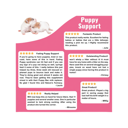 Puppy Support for Fading Puppies,"Two puppies above a pink customer review graphic"