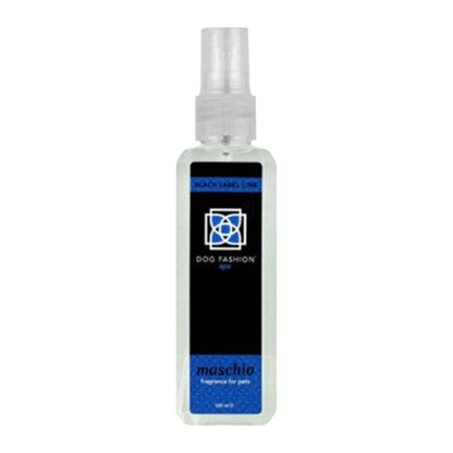 Maschio Fragrance
