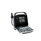 Equisound DP30 Portable Equine Ultrasound,"Portable ultrasound unit with screen, keyboard, and probe"