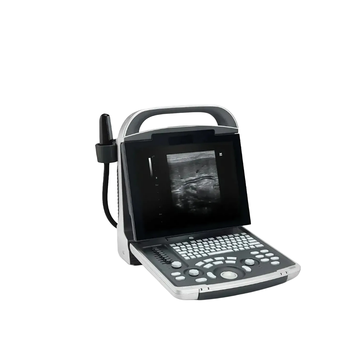 Equisound DP30 Portable Equine Ultrasound,"Portable ultrasound unit with screen, keyboard, and probe"