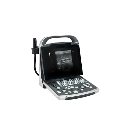 Equisound DP30 Portable Equine Ultrasound,"Portable ultrasound unit with screen, keyboard, and probe"