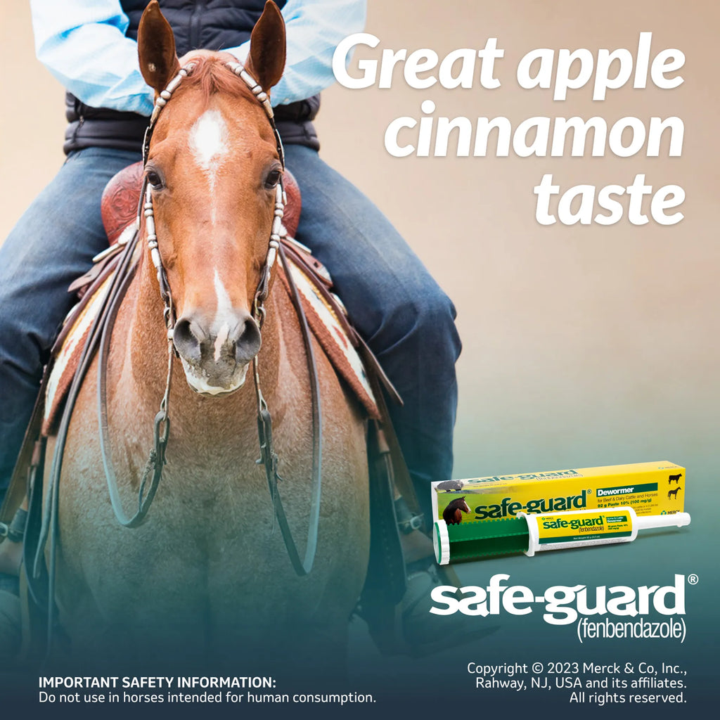 Safe-Guard® Equine Dewormer,"Dewormer paste syringe with box and horse rider graphic"