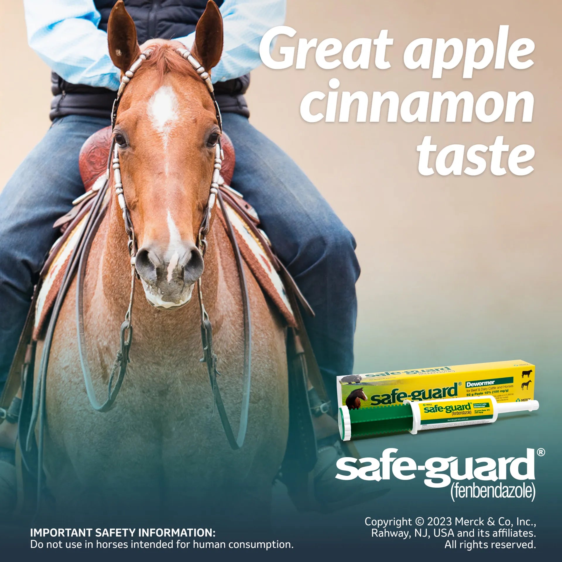 Safe-Guard® Equine Dewormer,"Dewormer paste syringe with box and horse rider graphic"