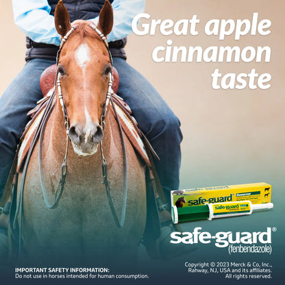Safe-Guard® Equine Dewormer,"Dewormer paste syringe with box and horse rider graphic"