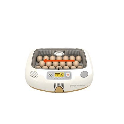Pro-20 DO Incubator by Rcom USA
