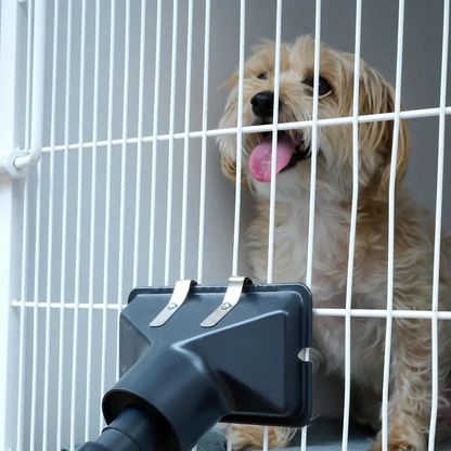 Dual Cage Dryer Kit By Metrovac,"Small dog in cage with black dryer attachment"