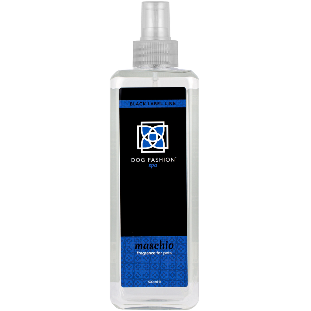 Maschio Fragrance