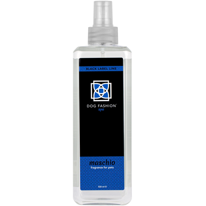 Maschio Fragrance