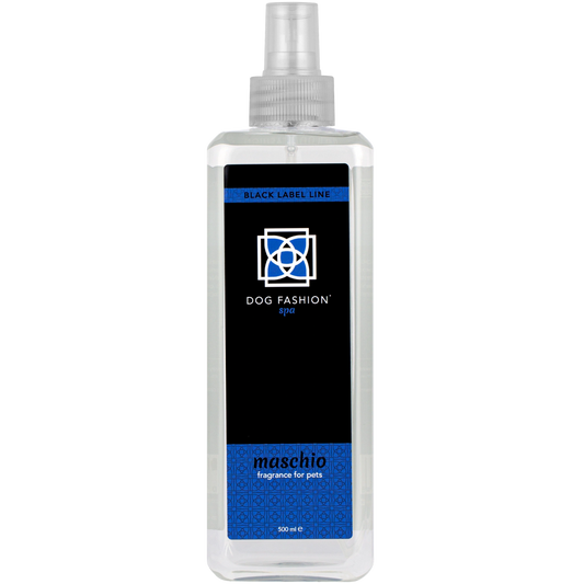 Maschio Fragrance