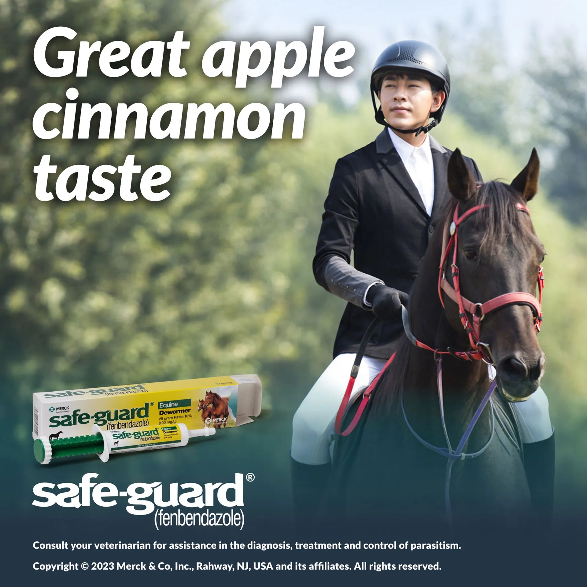 Safe-Guard® Equine Dewormer,"Paste syringe and carton with horse rider image"