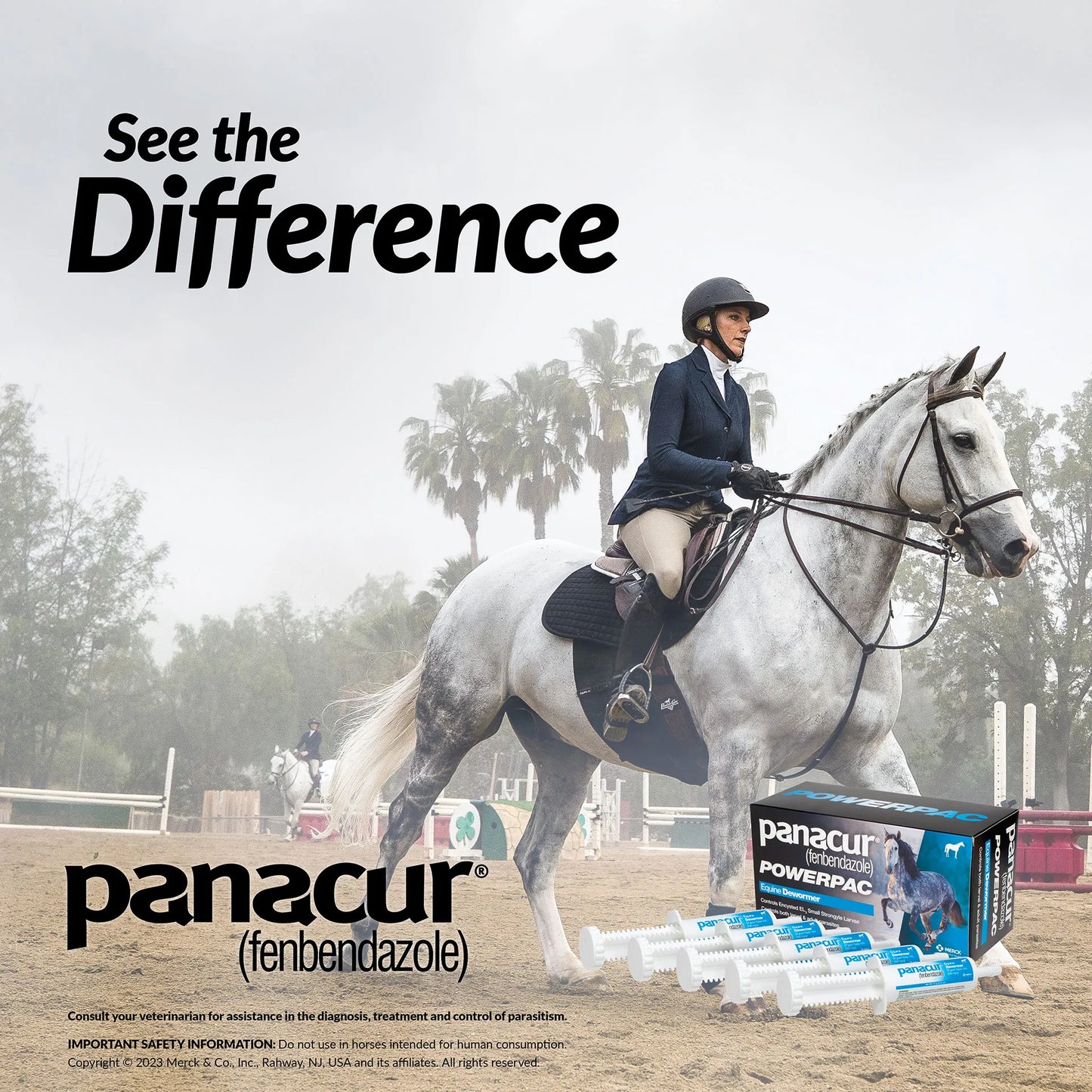 Panacur® PowerPac Paste Horse Dewormer,"Five oral paste syringes with box beside horse and rider"