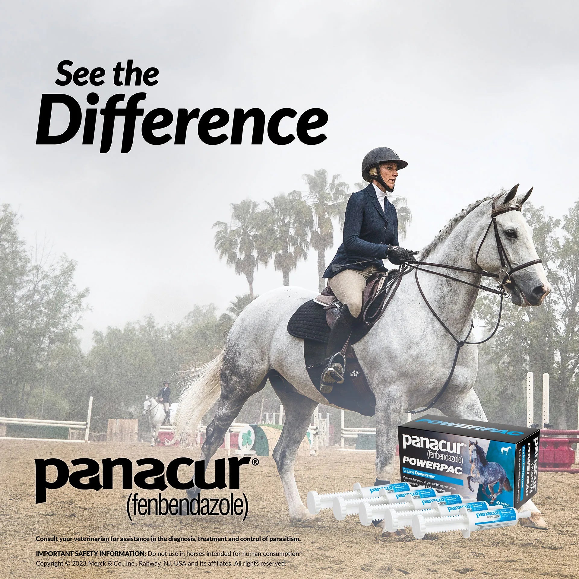 Panacur® PowerPac Paste Horse Dewormer,"Five oral paste syringes with box beside horse and rider"