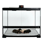 Puppywarmer Incubator Pee Pad,"Quilted gray pee pad inside incubator with three puppies"