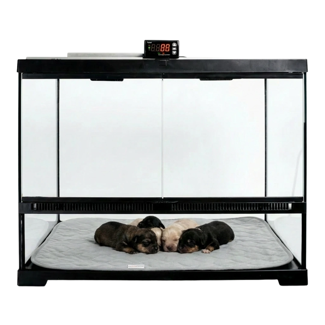 Puppywarmer Incubator Pee Pad,"Quilted gray pee pad inside incubator with three puppies"