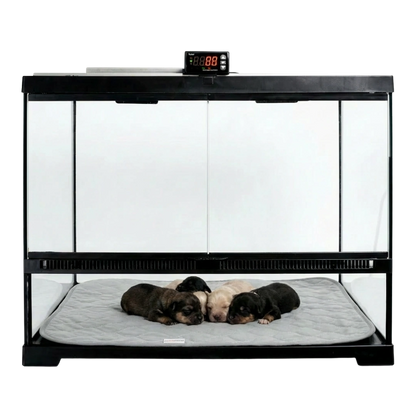 Puppywarmer Incubator Pee Pad,"Quilted gray pee pad inside incubator with three puppies"