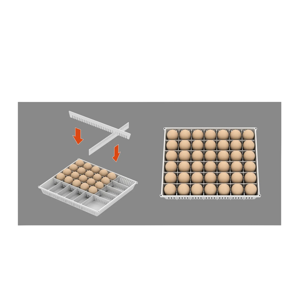 Maru 240D Incubator by Rcom USA