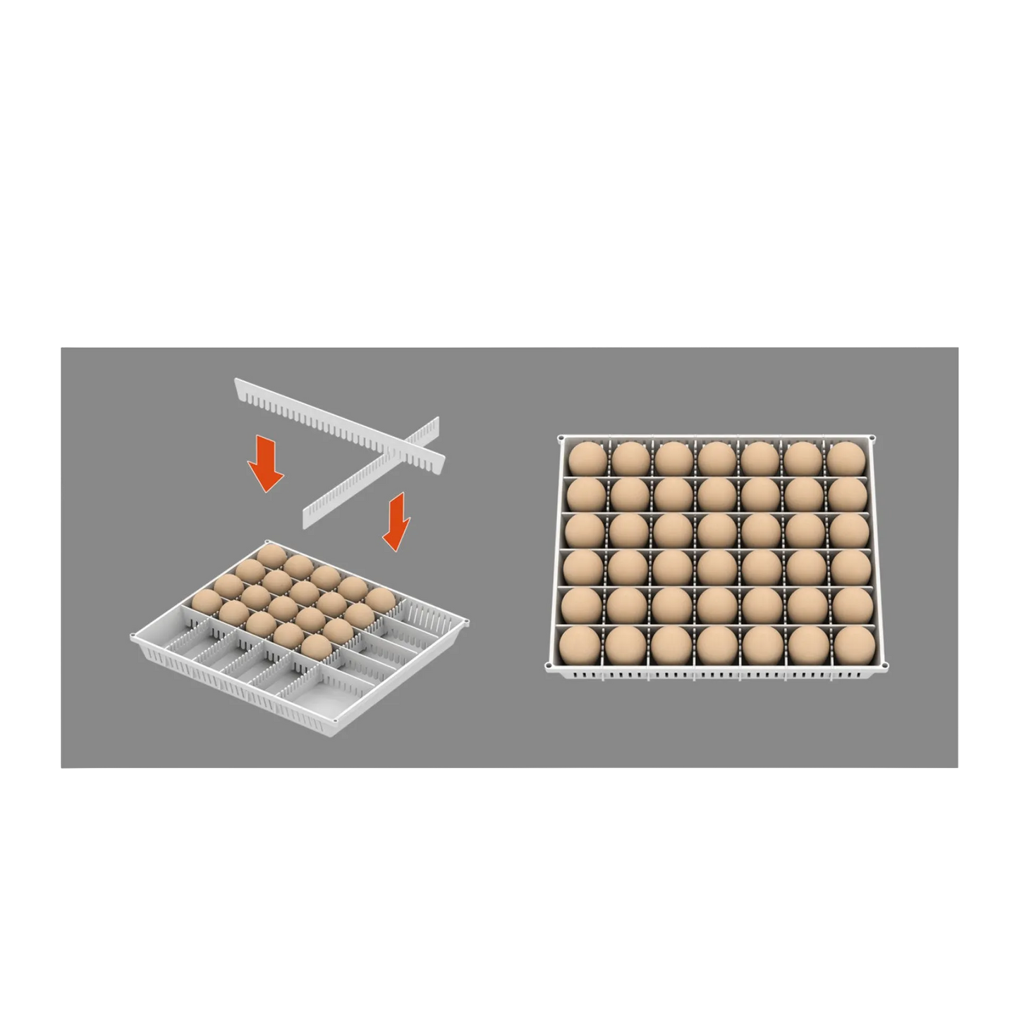 Maru 240D Incubator by Rcom USA