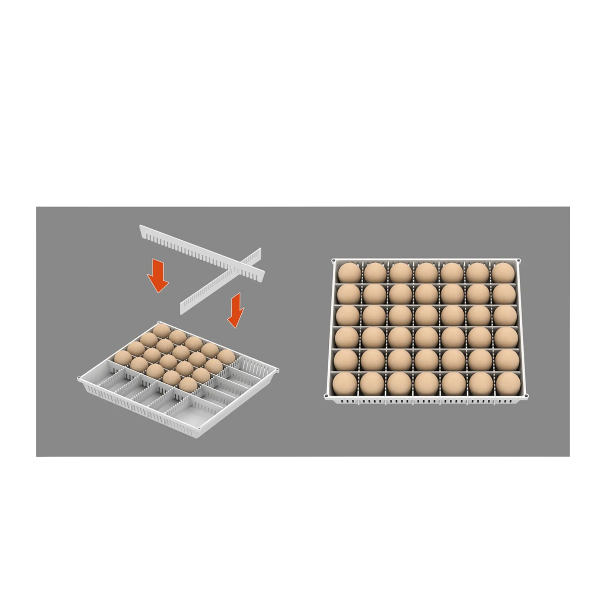 Maru 240D Incubator by Rcom USA