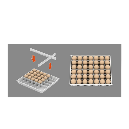 Maru 240D Incubator by Rcom USA