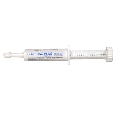 Bene-Bac® Plus,"Oral gel syringe with clear cap and plunger"