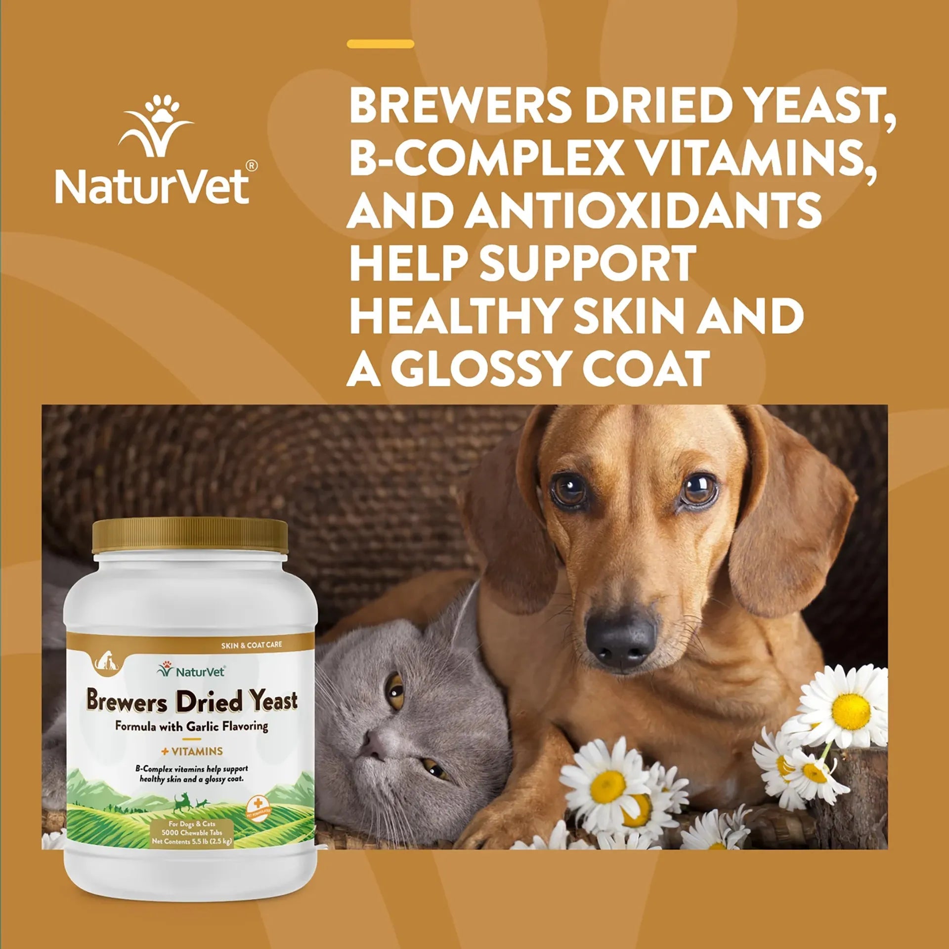 Brewers Dried Yeast Formula with Garlic Flavoring,"Supplement jar with dog and cat lifestyle image"