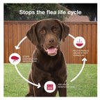 K9 Advantix™ II,"Brown dog with flea lifecycle icons and arrows"