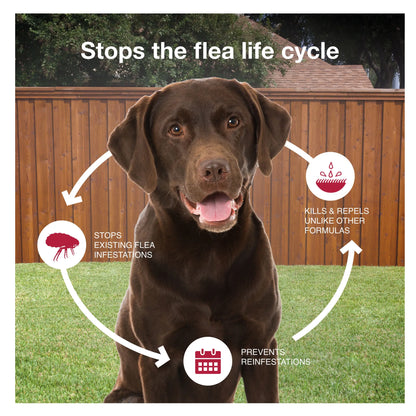 K9 Advantix™ II,"Brown dog with flea lifecycle icons and arrows"