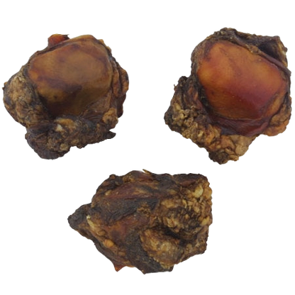 Knee Caps,"Three dried knee cap pieces"