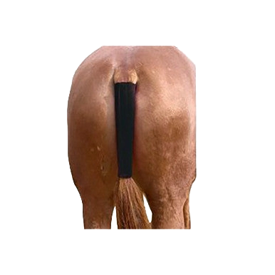 Contoured Neoprene Tail Wrap,"Horse hindquarters with black tail wrap"